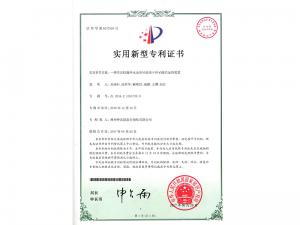  Practical patent certificate
