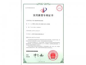   Practical patent certificate